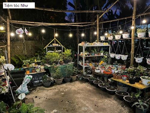 Hình ảnh Tiệm tóc Như